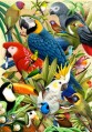 parrot types birds